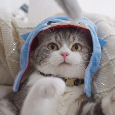 Fajar Nugraha avatar